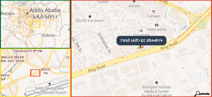 Map showing the address of ፖዘቲቭ አክሽን ፎር ደቨሎመንት in three different zoom levels.