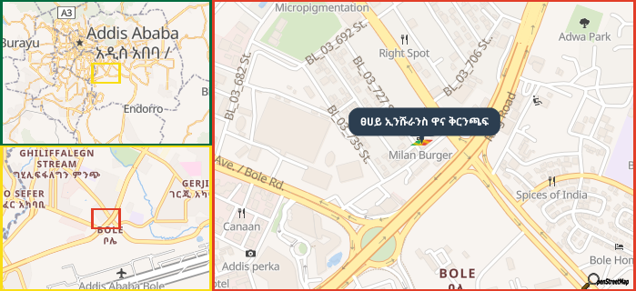 Map showing the address of ፀሀይ ኢንሹራንስ ዋና ቅርንጫፍ in three different zoom levels.