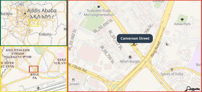 Map showing the address of Cameroon Street in three different zoom levels.
