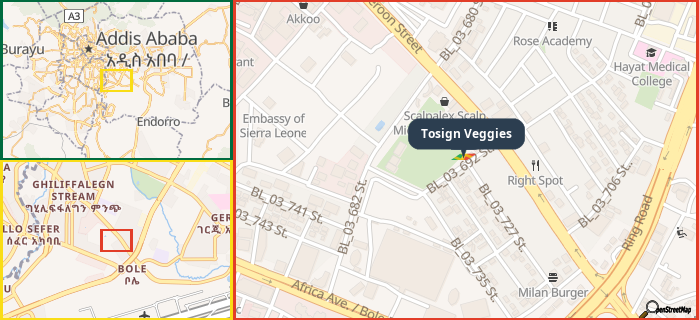 Map showing the address of Tosign Veggies in three different zoom levels.