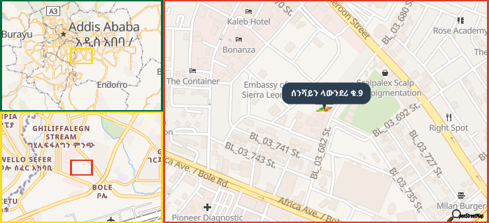 Map showing the address of ሰንሻይን ላውንደሪ ቁ.9 in three different zoom levels.