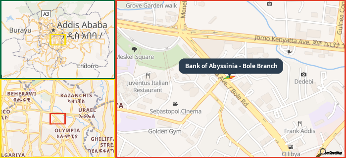 Map showing the address of Bank of Abyssinia - Bole Branch in three different zoom levels.