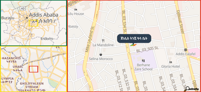 Map showing the address of ጀነሲስ ትንሿ ዓሳ ቤት in three different zoom levels.