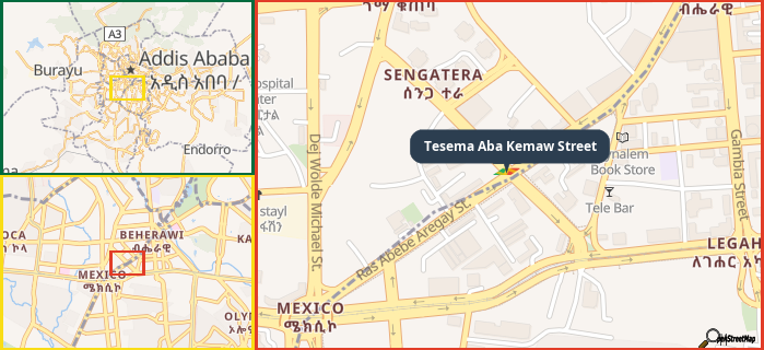 Map showing the address of Tesema Aba Kemaw Street in three different zoom levels.