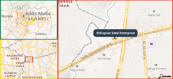 Map showing the address of Ethiopian Seed Enterprise in three different zoom levels.