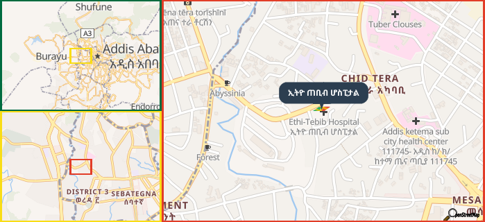 Map showing the address of ኢትዮ ጠቢብ ሆስፒታል in three different zoom levels.