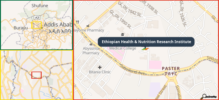 Map showing the address of Ethiopian Health & Nutrition Research Institute in three different zoom levels.