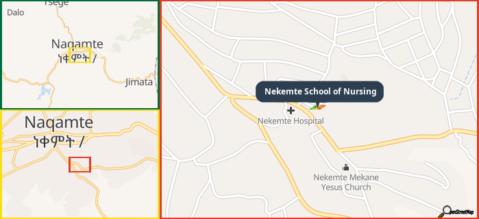Map showing the address of Nekemte School of Nursing in three different zoom levels.