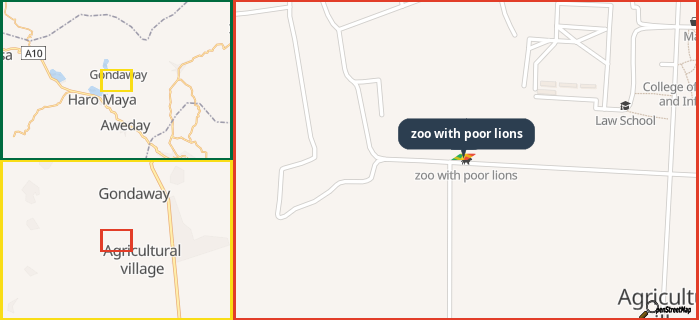 Map showing the address of zoo with poor lions in three different zoom levels.